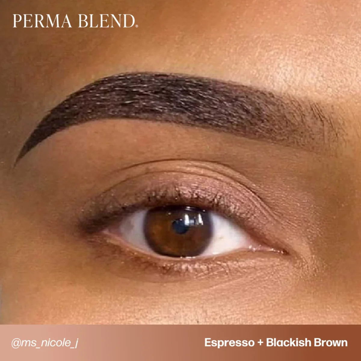 PIGMENTO PARA CEJAS PERMA BLEND - ESPRESSO 