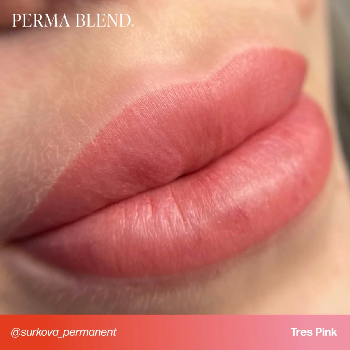 PERMA BLEND LIP SHADES - TRES PINK