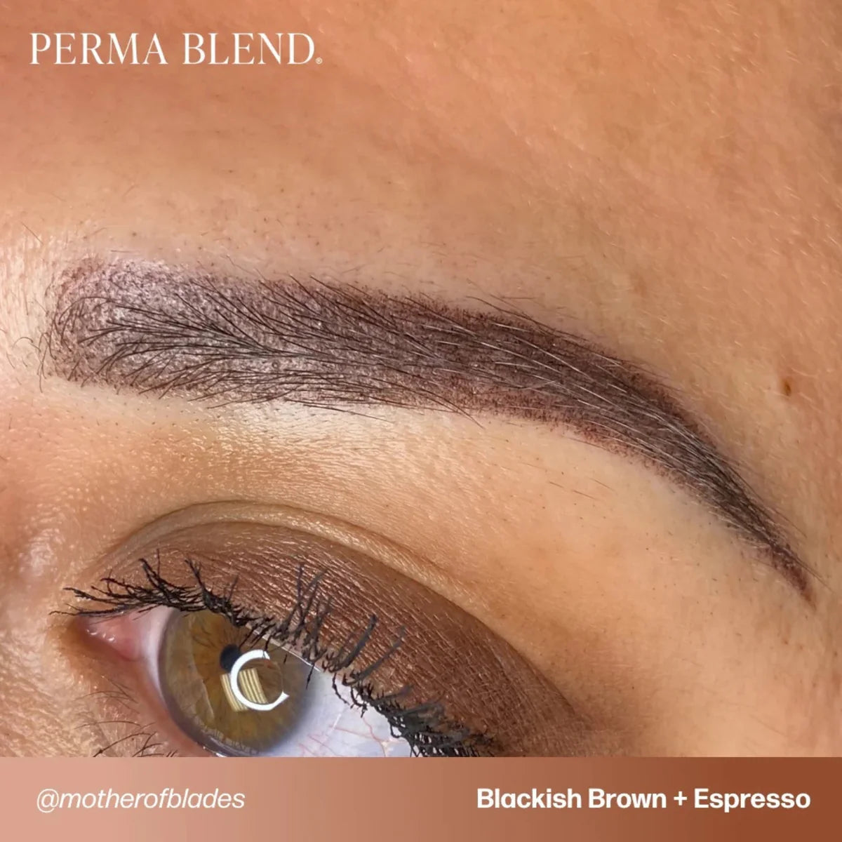 PIGMENTO PARA CEJAS PERMA BLEND - ESPRESSO 