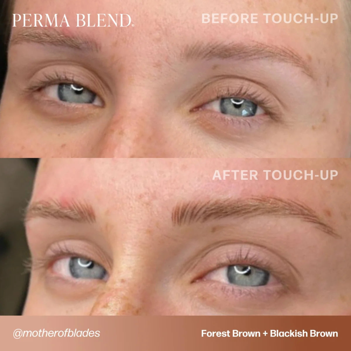 PIGMENTO PARA CEJAS PERMA BLEND - MARRÓN BOSQUE