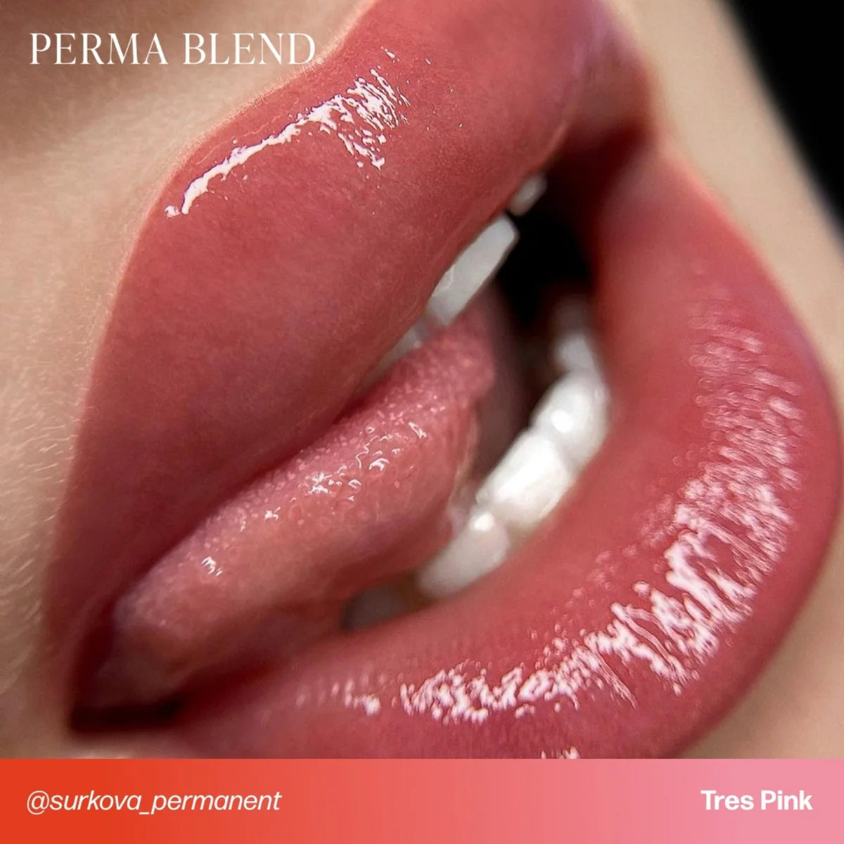 PERMA BLEND LIP SHADES - TRES PINK
