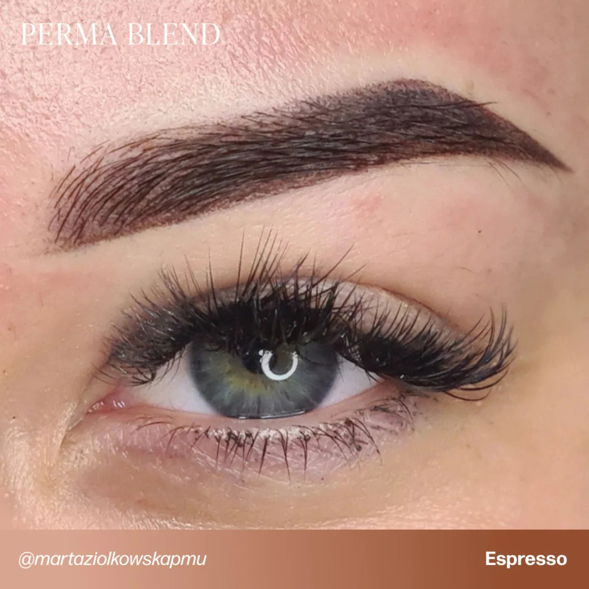 PIGMENTO PARA CEJAS PERMA BLEND - ESPRESSO 