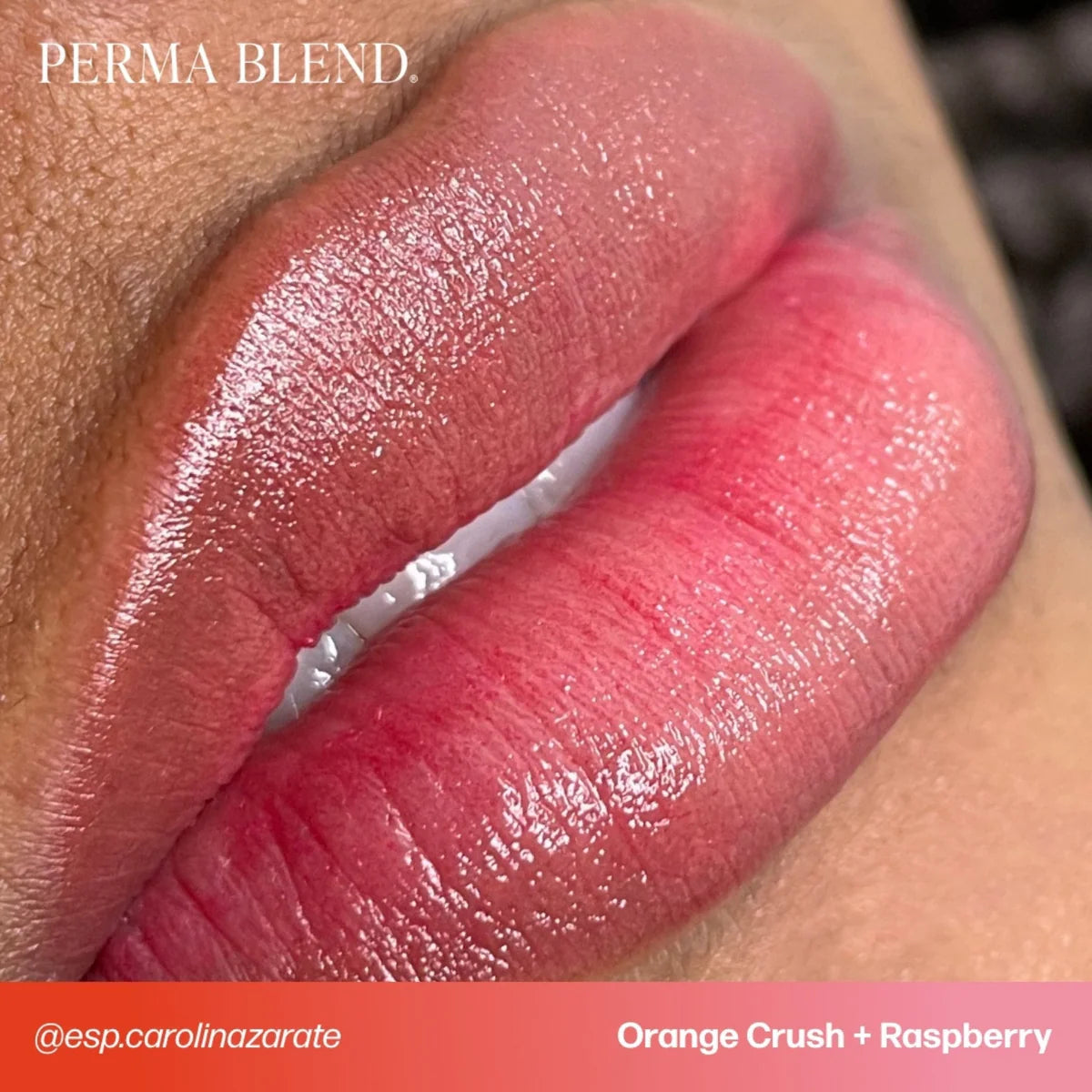 PERMA BLEND SULTRY LIP SET