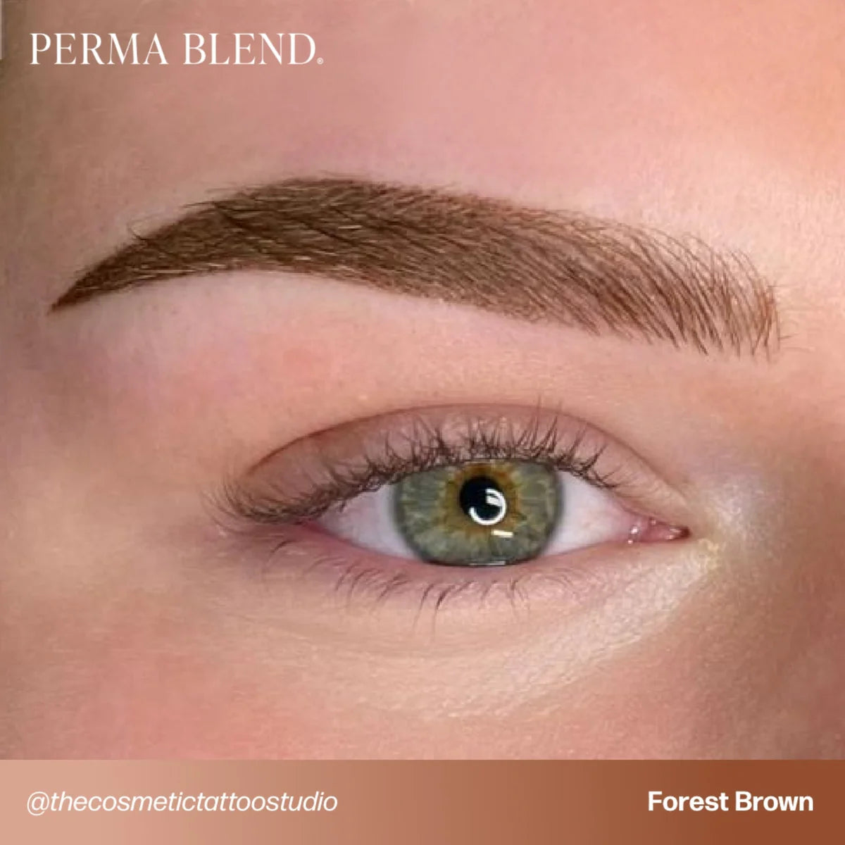 PIGMENTO PARA CEJAS PERMA BLEND - MARRÓN BOSQUE