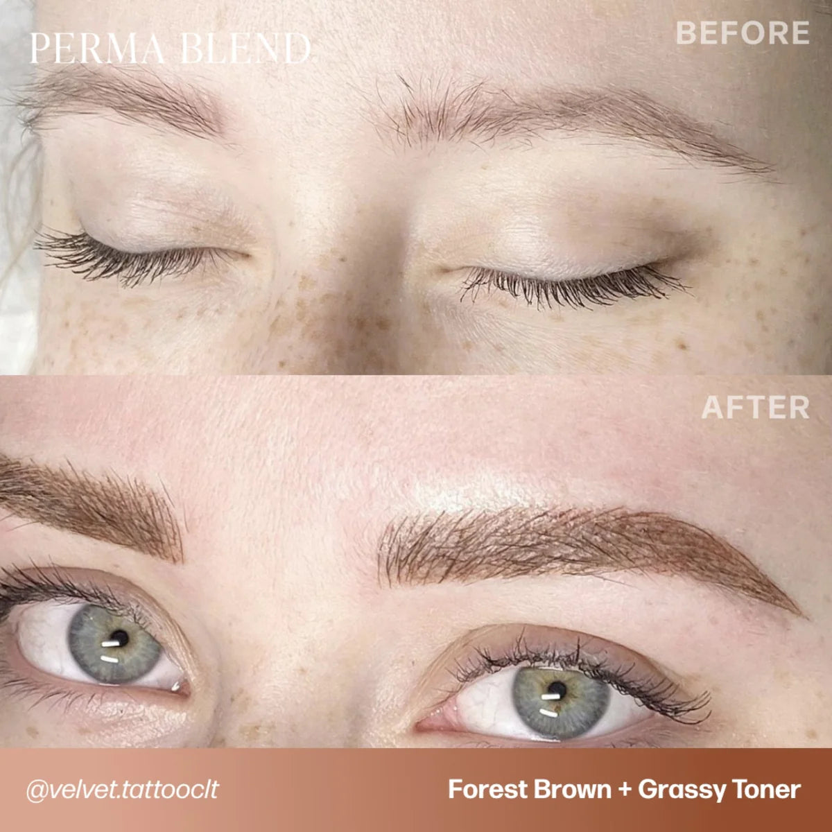 PIGMENTO PARA CEJAS PERMA BLEND - MARRÓN BOSQUE