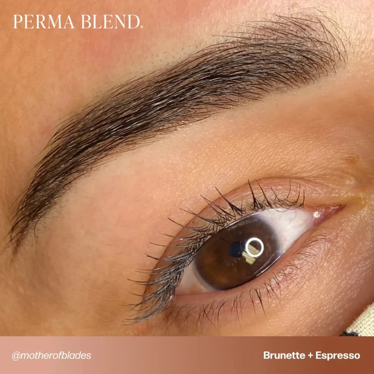 PERMA BLEND BROW PIGMENT - BRUNETTE