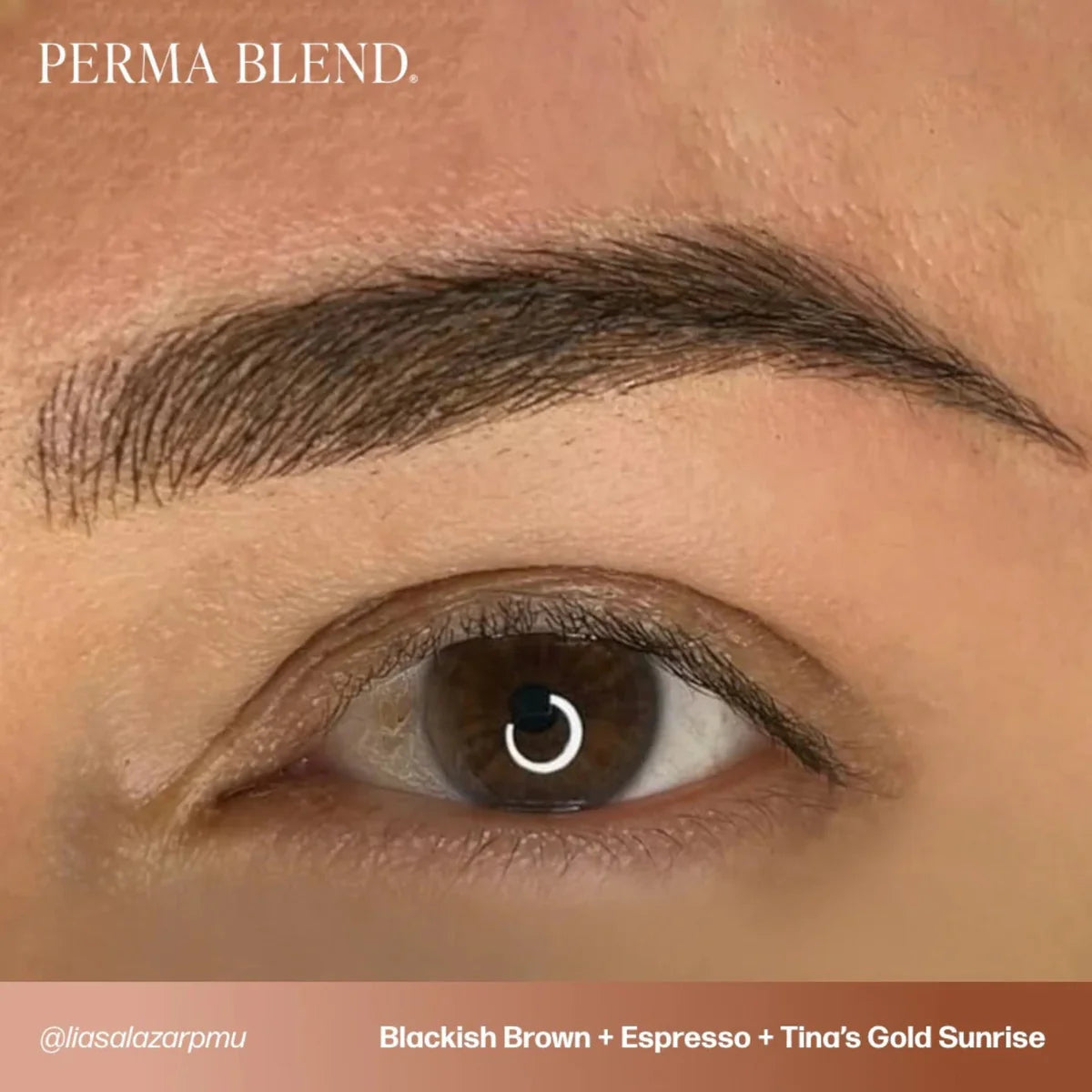 PERMA BLEND BROW PIGMENT - TINA’S GOLDEN SUNRISE