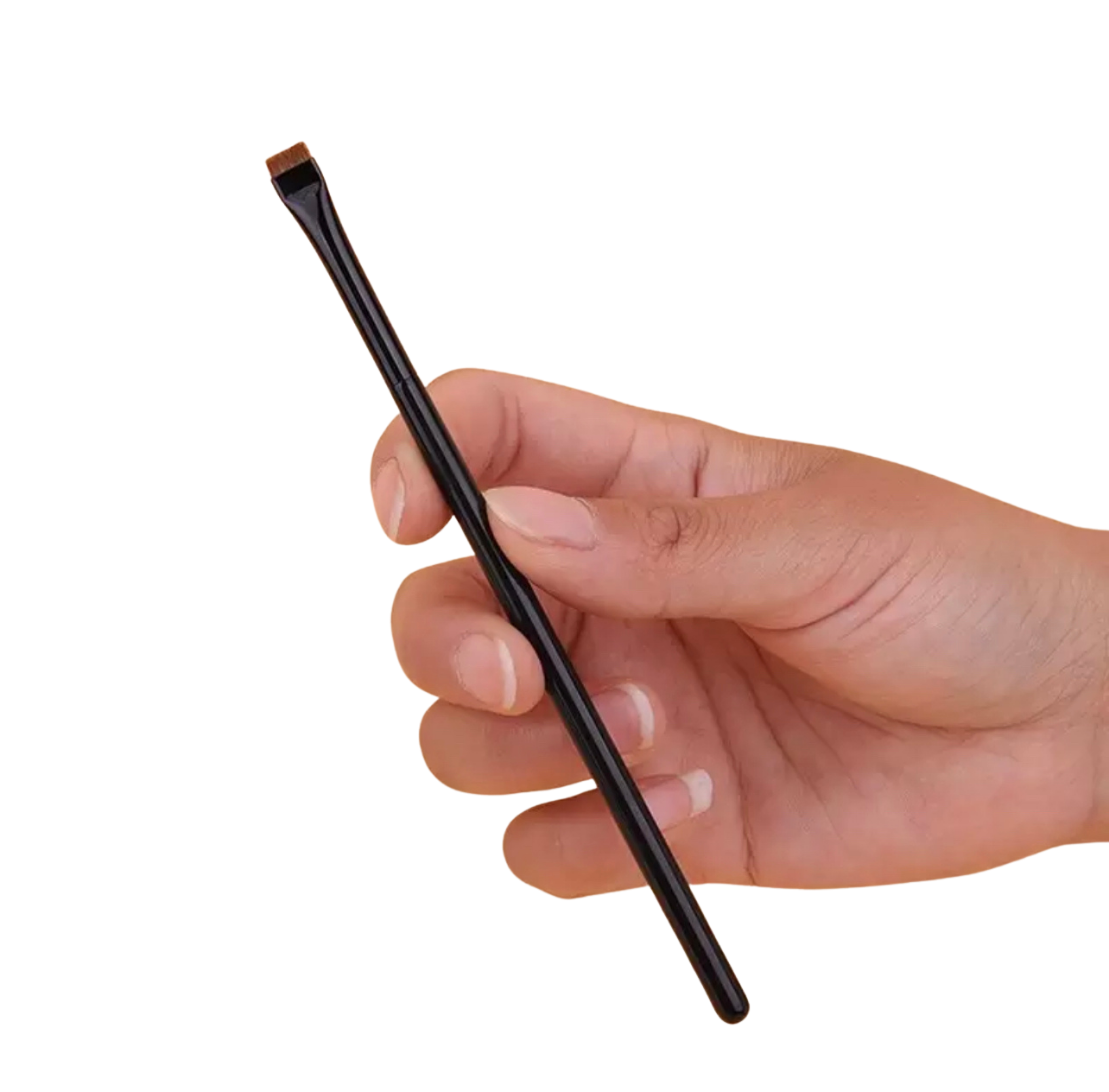 FLAT SHORT BRISTLE BRUSH