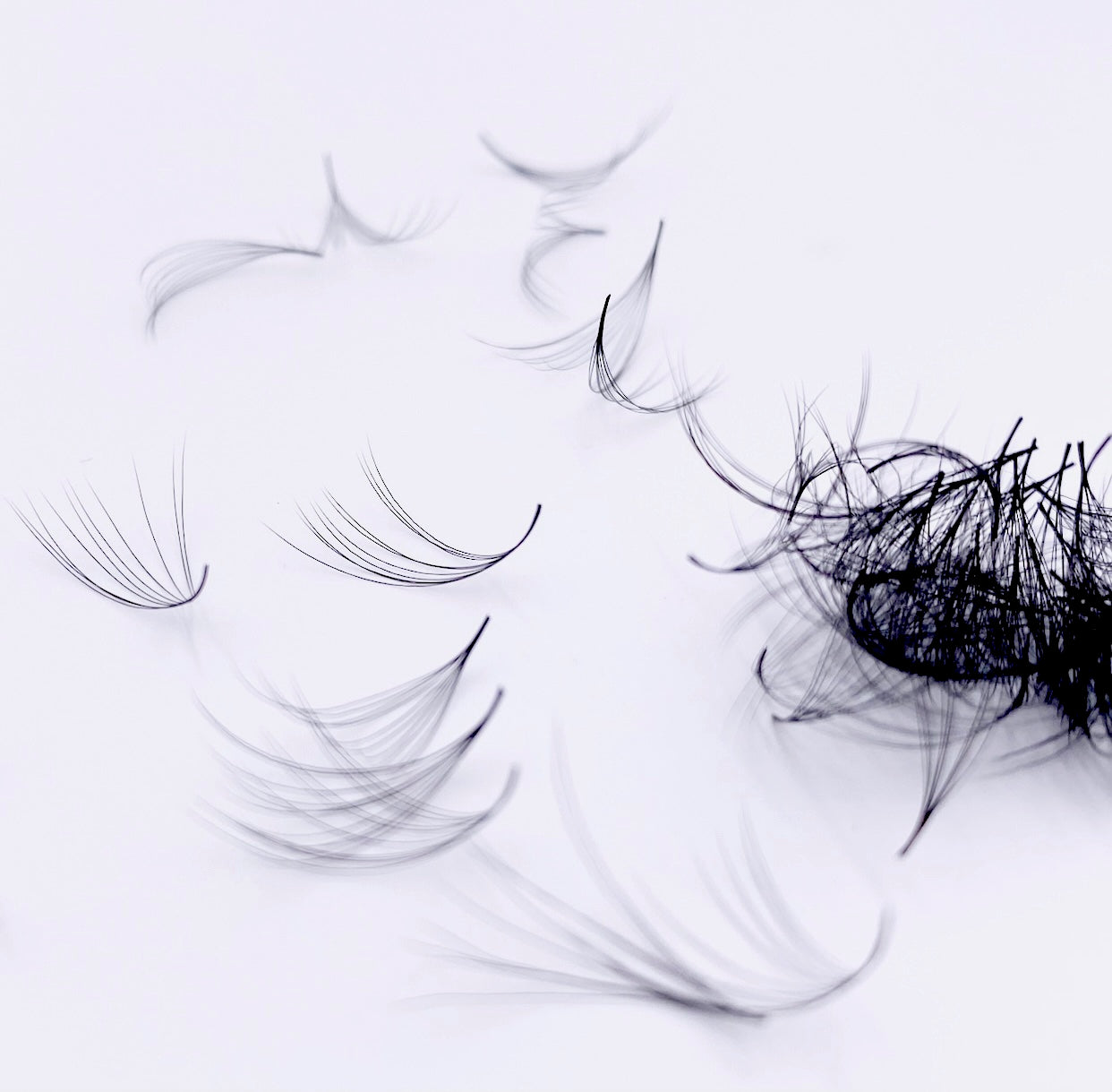 LASH MAMA LOOSE PROMADES 500 FANS (3D-10D)
